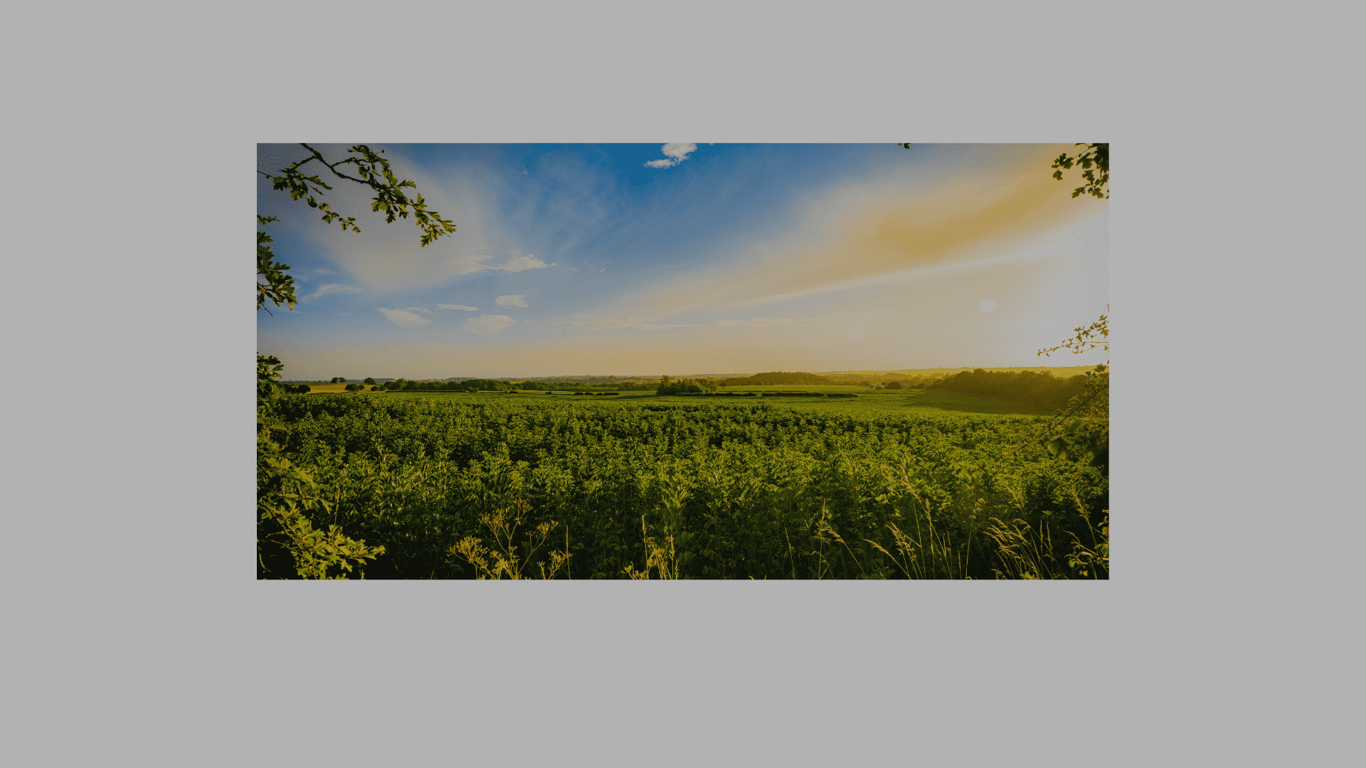 Good Morning Shayari for Husband