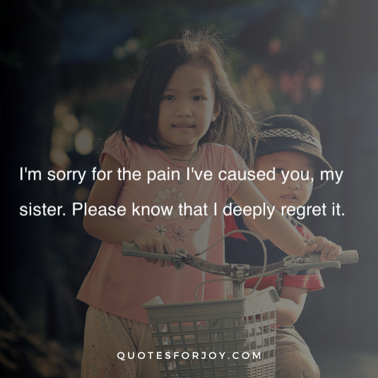 Sorry sister quotes 10