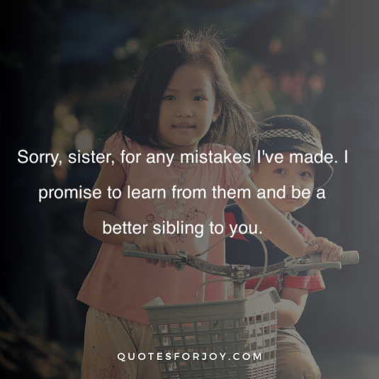 Sorry sister quotes 13