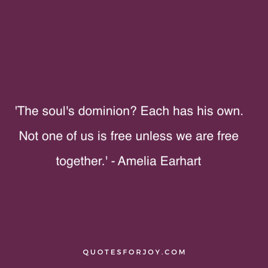 Amelia Earhart Quote 13