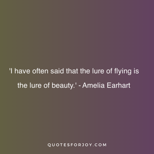 Amelia Earhart Quote 15
