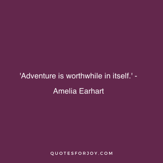 Amelia Earhart Quote 16