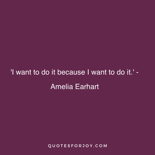 Amelia Earhart Quote 17