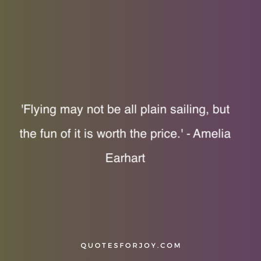 Amelia Earhart Quote 18
