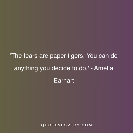 Amelia Earhart Quote 2