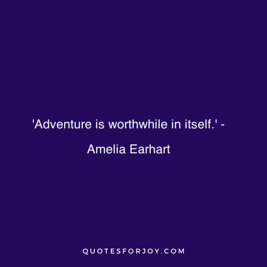 Amelia Earhart Quote 21
