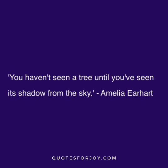 Amelia Earhart Quote 22