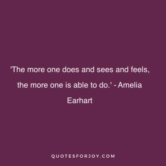 Amelia Earhart Quote 23