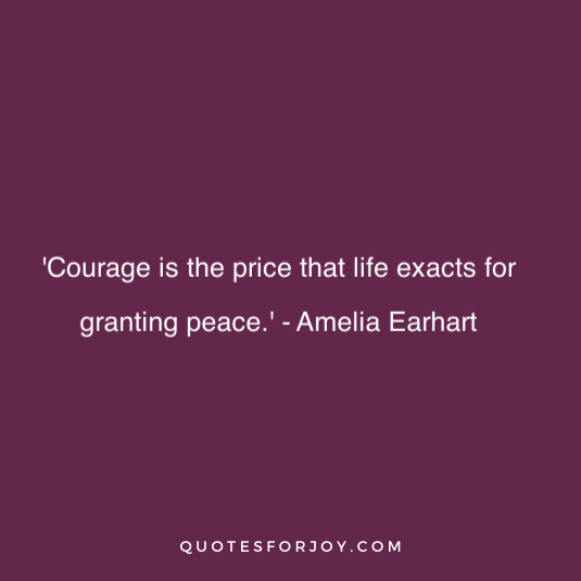 Amelia Earhart Quote 3