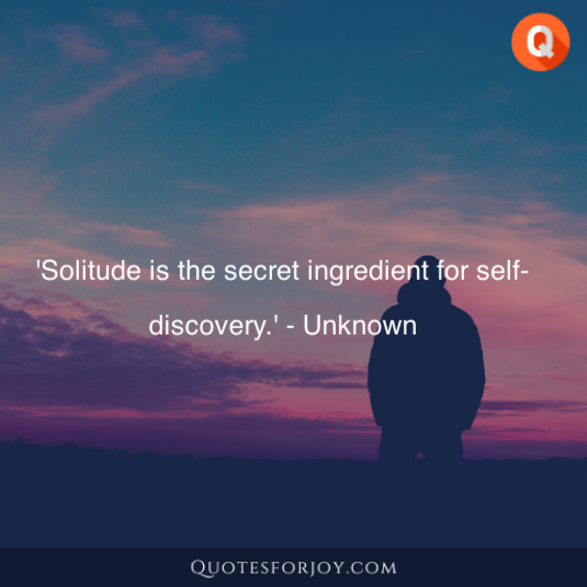 Solitude Quotes 18