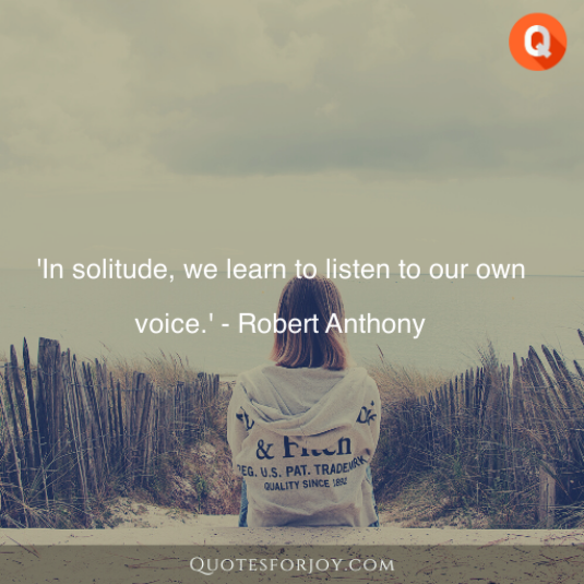 Solitude Quotes 23