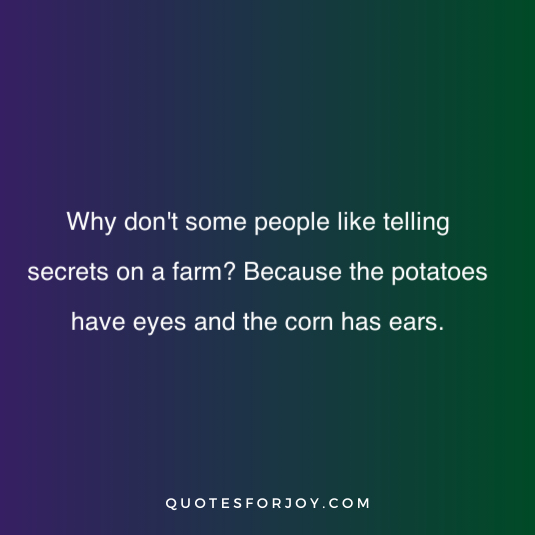Dark Humor Quotes 14