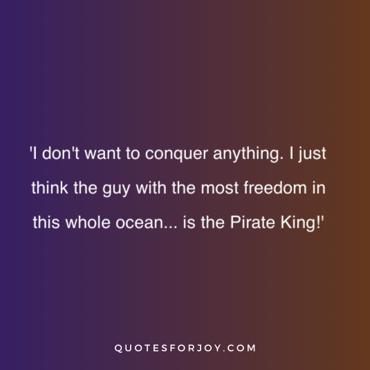 One Piece quotes 21