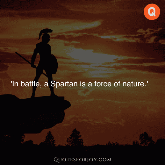 Spartan Quotes 30
