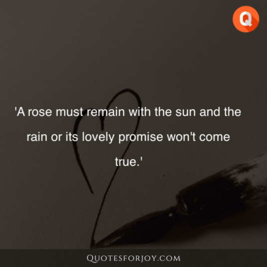 Rose Day Quotes 10