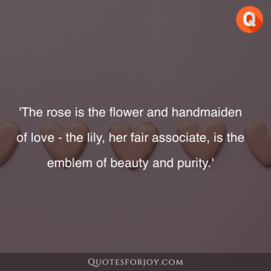 Rose Day Quotes 13