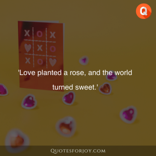 Rose Day Quotes 14