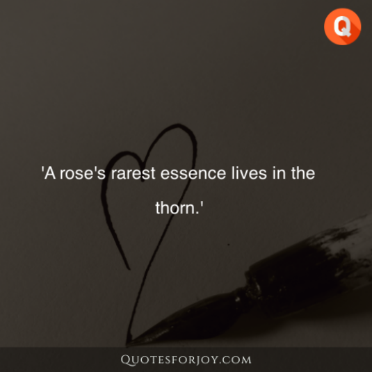 Rose Day Quotes 15