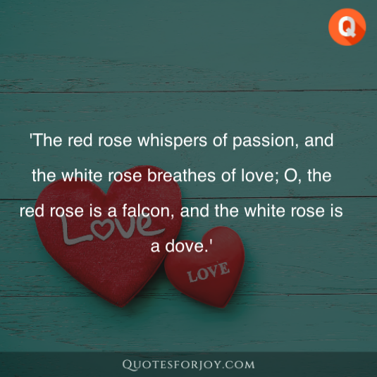 Rose Day Quotes 21