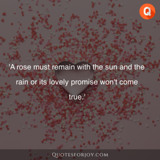 Rose Day Quotes 24