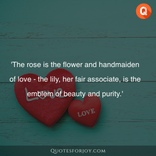 Rose Day Quotes 27
