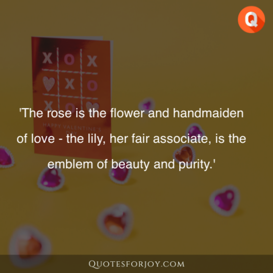 Rose Day Quotes 35