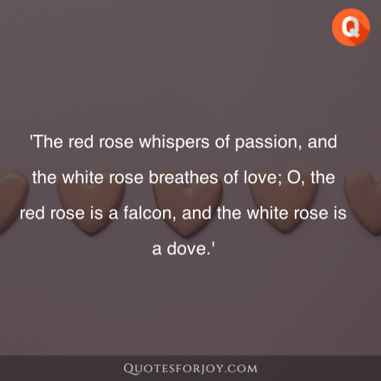 Rose Day Quotes 37