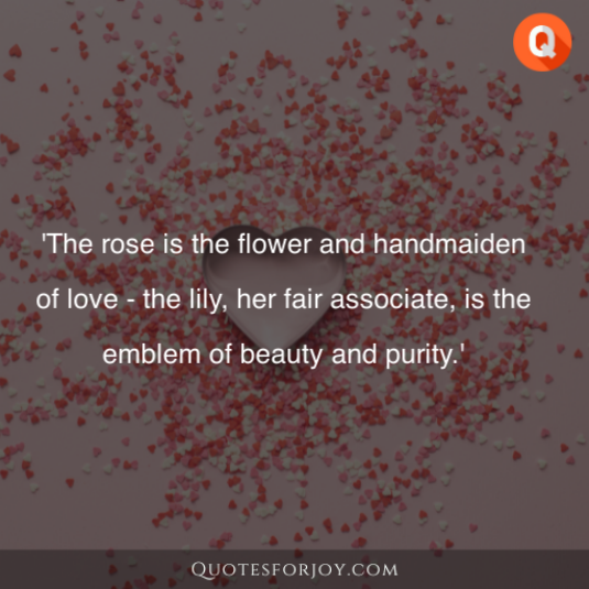 Rose Day Quotes 4