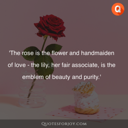 Rose Day Quotes 43