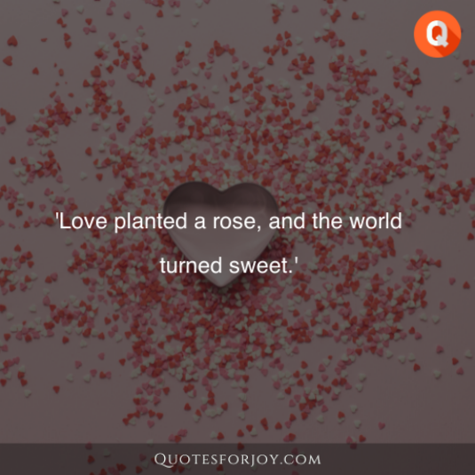 Rose Day Quotes 44