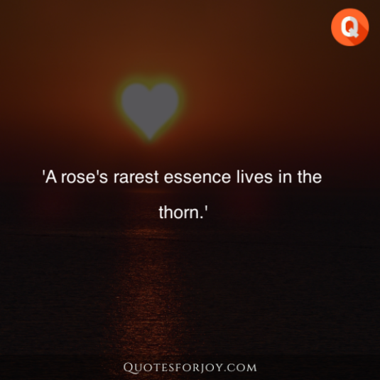 Rose Day Quotes 45