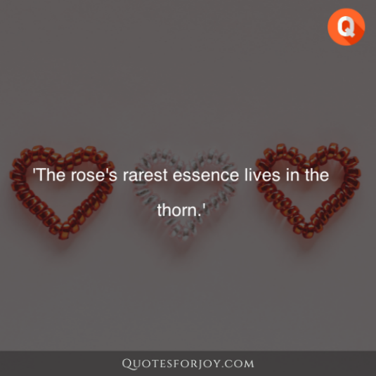 Rose Day Quotes 49