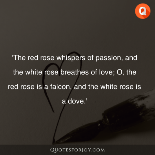 Rose Day Quotes 7