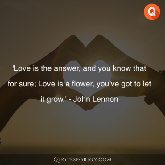 Valentine Day Quotes 17