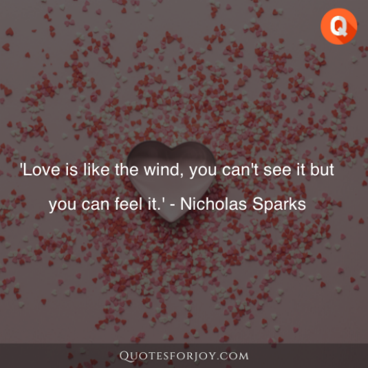 Valentine Day Quotes 25