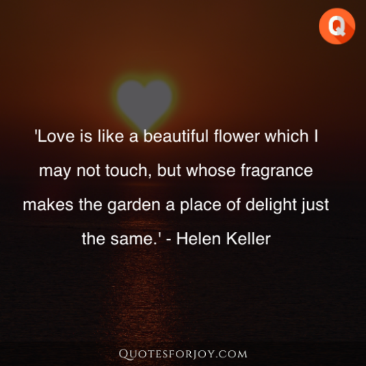 Valentine Day Quotes 59