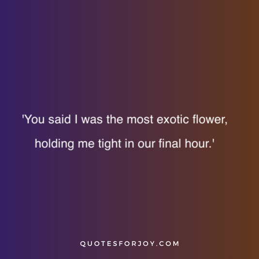 Lana Del Rey Quotes 36