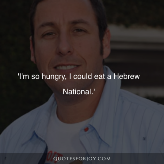Adam Sandler Quotes 1