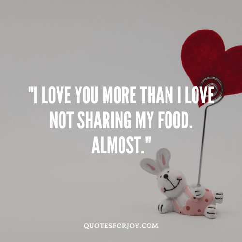 Cute & Funny Husband Wife WhatsApp Status