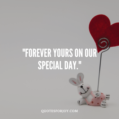 Valentine’s Day Quotes For Your Partner