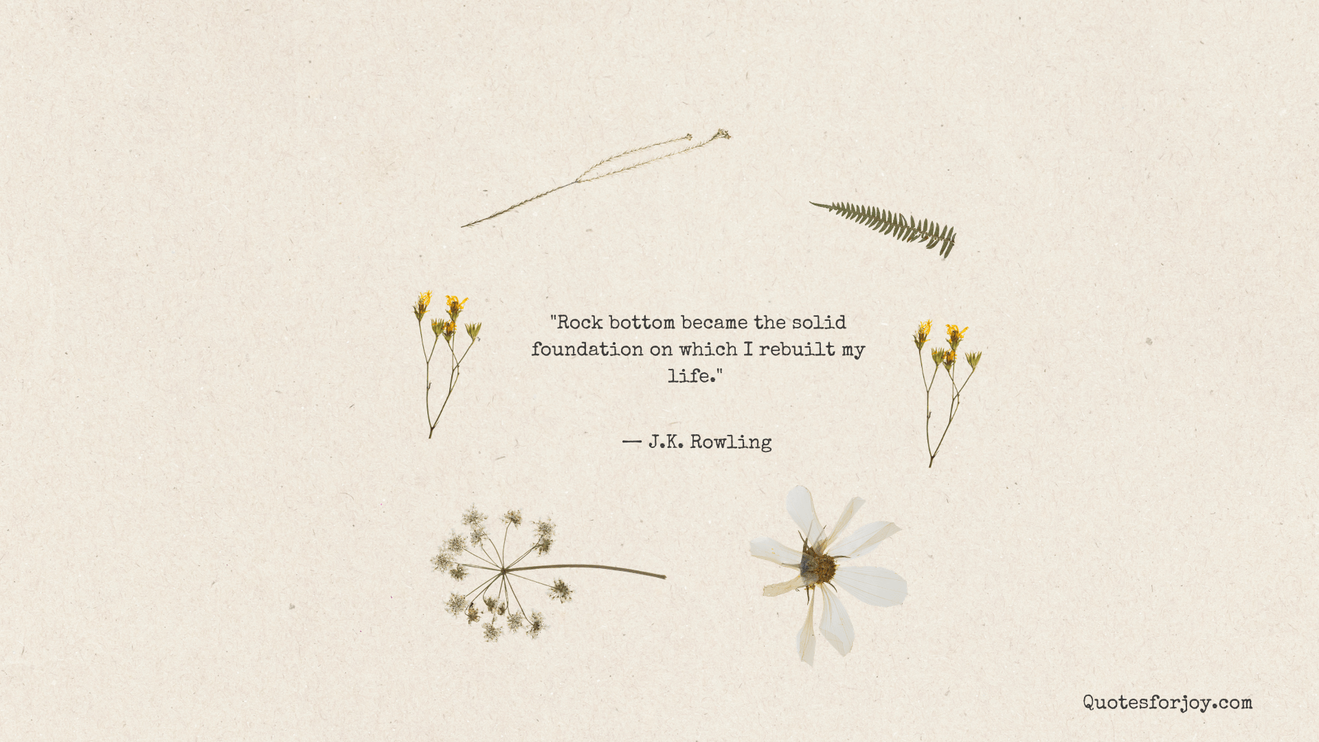 Life Quote Works Best for Career Setbacks