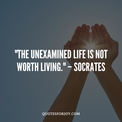 Quotes for Daily Reflection and Gratitude