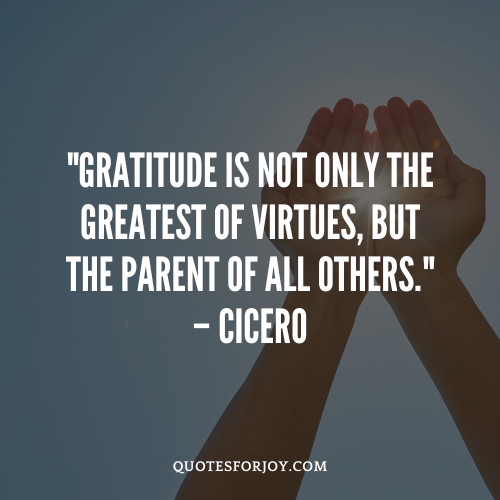 Captions for Daily Gratitude